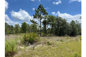 3309 HAMPSHIRE BOULEVARD, CITRUS SPRINGS, FL 34433 - MLS#MFRS5126959