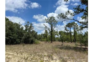 3309 HAMPSHIRE BOULEVARD, CITRUS SPRINGS, FL 34433 - MLS#MFRS5126959