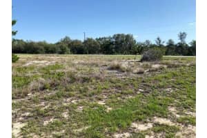 XXX BOWFIN COURT, KISSIMMEE, FL 34759 Sold 08/06/25