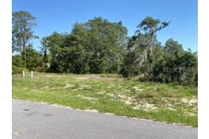 XXX BOWFIN COURT, KISSIMMEE, FL 34759 Sold 08/06/25