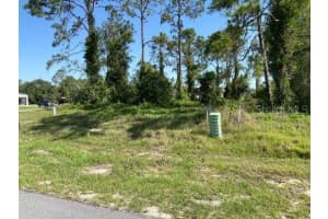 XXX BOWFIN COURT, KISSIMMEE, FL 34759 Sold 08/06/25