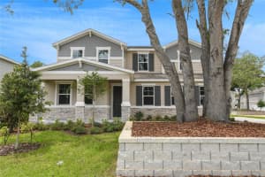 1035 CLOUD RIDGE COURT, MOUNT DORA, FL 32757 Sold 08/22/25