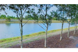 22028 SEYBURN TERRACE, PORT CHARLOTTE, FL 33954 - MLS#MFRS5127422
