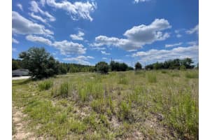 WALNUT RUN, OCALA, FL 34480 Sold 08/22/25