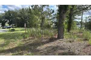 51 ST COURT, OCALA, FL 34473 - MLS#MFRS5127922