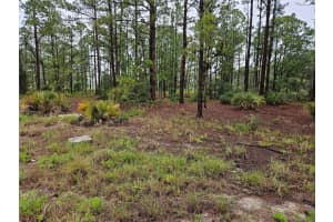 308 SUNFLOWER AVENUE, LAKE PLACID, FL 33852 Sold 07/21/25