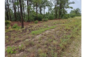 308 SUNFLOWER AVENUE, LAKE PLACID, FL 33852 Sold 07/21/25