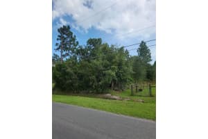 RALSTON ST, ORLANDO, FL 32833 - MLS#MFRS5128143