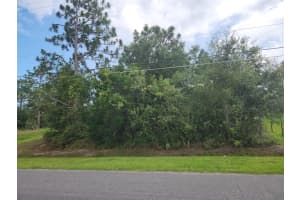 RALSTON ST, ORLANDO, FL 32833 - MLS#MFRS5128143