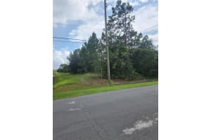 RALSTON ST, ORLANDO, FL 32833 - MLS#MFRS5128143