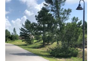 1005 HAWKS LANDING DRIVE, SEBRING, FL 33875 - MLS#MFRS5128298
