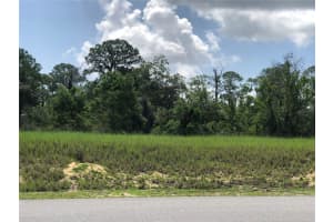 1005 HAWKS LANDING DRIVE, SEBRING, FL 33875 - MLS#MFRS5128298