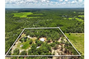 11323 KIJIK TRAIL, GROVELAND, FL 34736 Sold 08/15/25