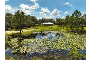 11323 KIJIK TRAIL, GROVELAND, FL 34736 Sold 08/15/25