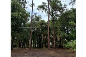 617 HARRINGTON STREET, PALM BAY, FL 32908 - MLS#MFRS5128517