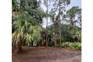617 HARRINGTON STREET, PALM BAY, FL 32908 - MLS#MFRS5128517