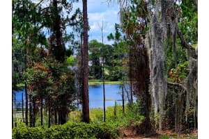 600 LAKE BUTLER AVENUE, OSTEEN, FL 32764 Sold 09/30/25