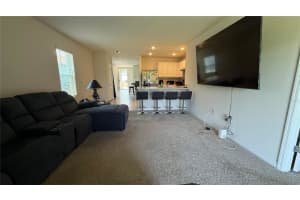 30346 ARMENIA ROAD, LEESBURG, FL 34748 - MLS#MFRS5128895
