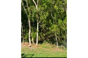 4941 Nw Foxworth Ave, Port Saint Lucie