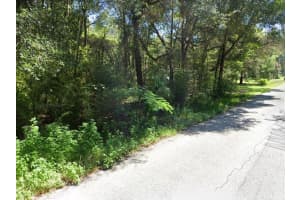 11575 17TH PLACE, OCALA, FL 34482 - MLS#MFRS5129328