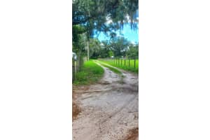 11416 Brahman Rd, LITHIA