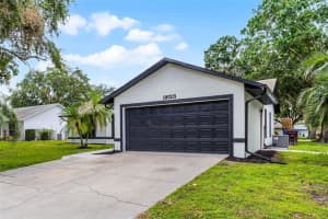 3623 TREE LINE WAY, ST CLOUD, FL 34769 - MLS#MFRS5129559