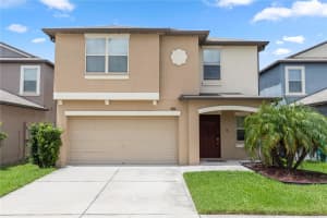 7412 Pearly Everlasting Ave, TAMPA