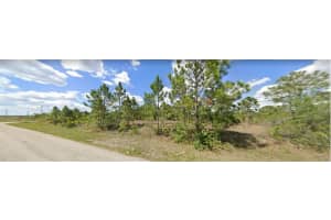 1129 BRIARCLIFFE STREET, FORT MYERS, FL 33913 - MLS#MFRS5129972