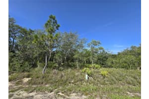 112 TENCH DRIVE, KISSIMMEE, FL 34759 - MLS#MFRS5130135