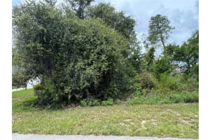 146 LOOP, OCALA, FL 34473 - MLS#MFRS5130156