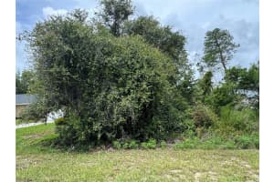 146 LOOP, OCALA, FL 34473 - MLS#MFRS5130156