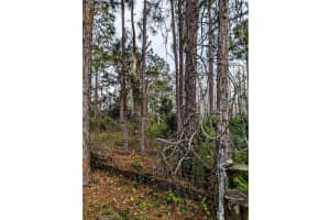 0 SWEET HILL RD, POLK CITY, FL 33868 - MLS#MFRS5130223