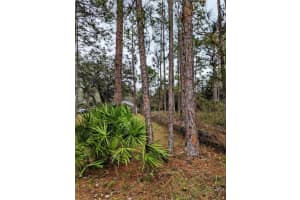0 SWEET HILL RD, POLK CITY, FL 33868 - MLS#MFRS5130223
