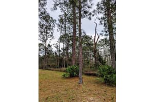 0 SWEET HILL RD, POLK CITY, FL 33868 - MLS#MFRS5130223