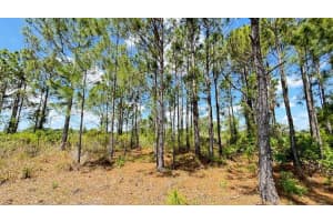 18121 304TH STREET, OKEECHOBEE, FL 34972 - MLS#MFRS5130316