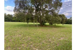 WINDJAMMER RD, CLERMONT, FL 34715 - MLS#MFRS5130349