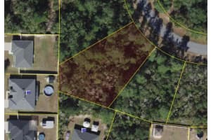 SW 31ST TERRACE RD, OCALA, FL 34473 - MLS#MFRS5130446