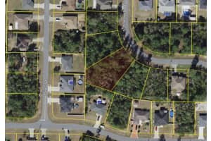 SW 31ST TERRACE RD, OCALA, FL 34473 - MLS#MFRS5130446