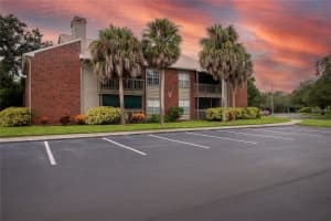 9100 DR MARTIN LUTHER KING JR STREET, ST PETERSBURG, FL 33702 - MLS#MFRS5130576