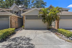 1724 Castle Rock Rd, TAMPA