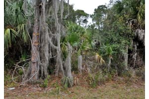 SHADY AVE, NORTH PORT, FL 34286 - MLS#MFRS5130713