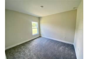 153 ANZIO DRIVE, KISSIMMEE, FL 34758 - MLS#MFRS5130893