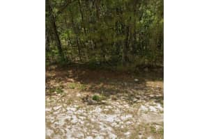 TBD 81ST AVENUE, OCALA, FL 34473 Sold 09/12/25