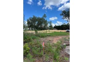 210 SPOONBILL DRIVE, KISSIMMEE, FL 34759 - MLS#MFRS5130915