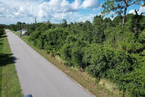 217 BOREN AVENUE, LAKE PLACID, FL 33852 - MLS#MFRS5131101