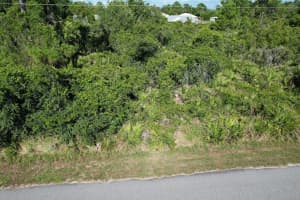 217 BOREN AVENUE, LAKE PLACID, FL 33852 - MLS#MFRS5131101