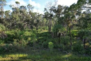 13149 HARBISON AVENUE, PORT CHARLOTTE, FL 33953 - MLS#MFRS5131105