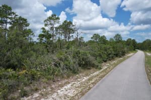 6717 VIRTUDES STREET, SEBRING, FL 33872 - MLS#MFRS5131106