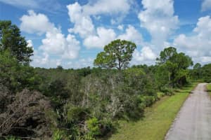 6717 VIRTUDES STREET, SEBRING, FL 33872 - MLS#MFRS5131106