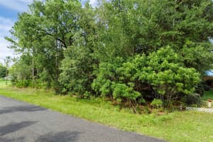 6733 NANTUCKET WAY, DUNNELLON, FL 34434 - MLS#MFRS5131282